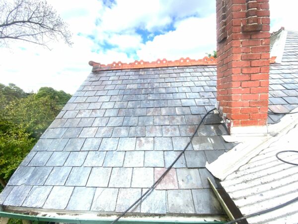 Roof Cleaning (1)